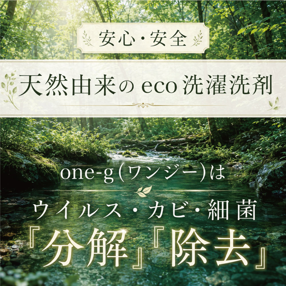 one-g 無添加 洗濯洗剤 合成界面活性剤不使用 粉 エコ 粉末 洗剤