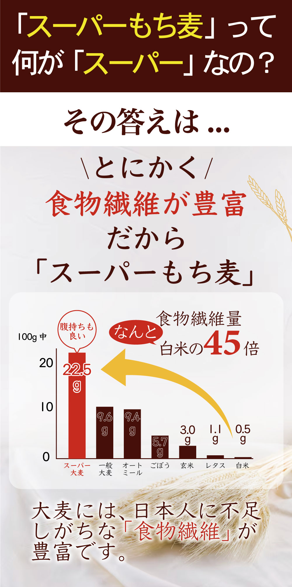 国産大麦100％ スーパーもち麦 食物繊維 もち麦