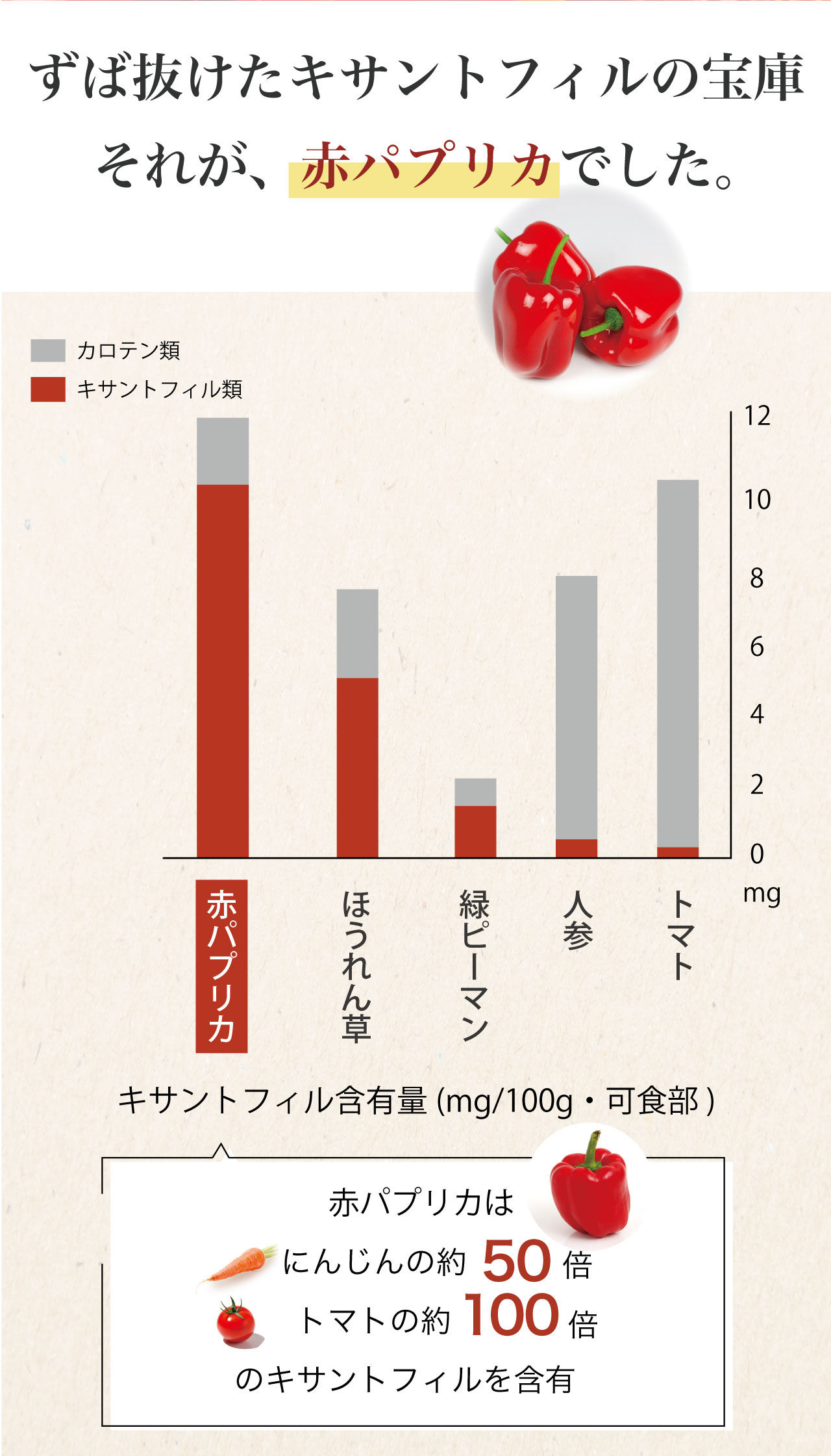 体脂肪 サプリ ダイエットサプリ 紫外線 日本初 体脂肪対策 機能性表示