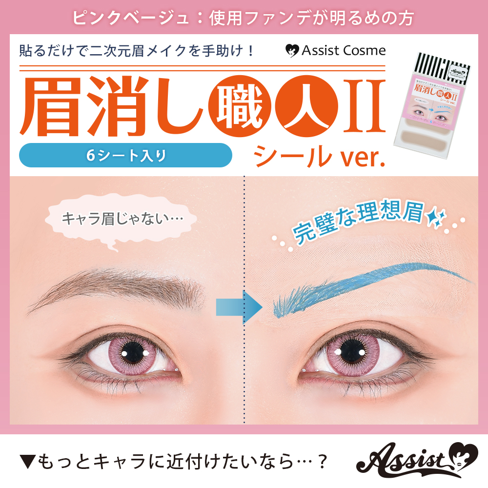 アシストウィッグ【眉消し職人II テープVer. （6シート入り