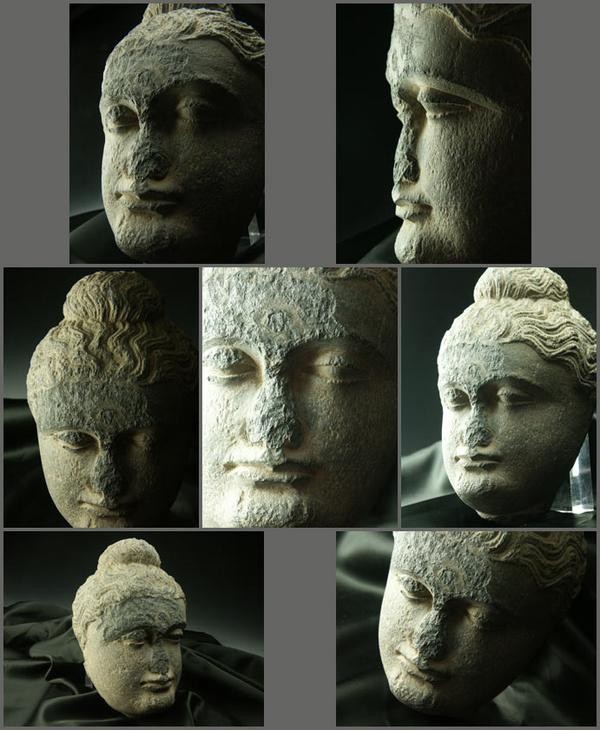 ガンダーラ仏 仏頭 2-4世紀石像 一点もの : 仏像仏画チベット美術卸の