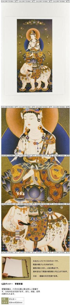 仏画ポスター 普賢菩薩 : 仏像仏画チベット美術卸の天竺堂