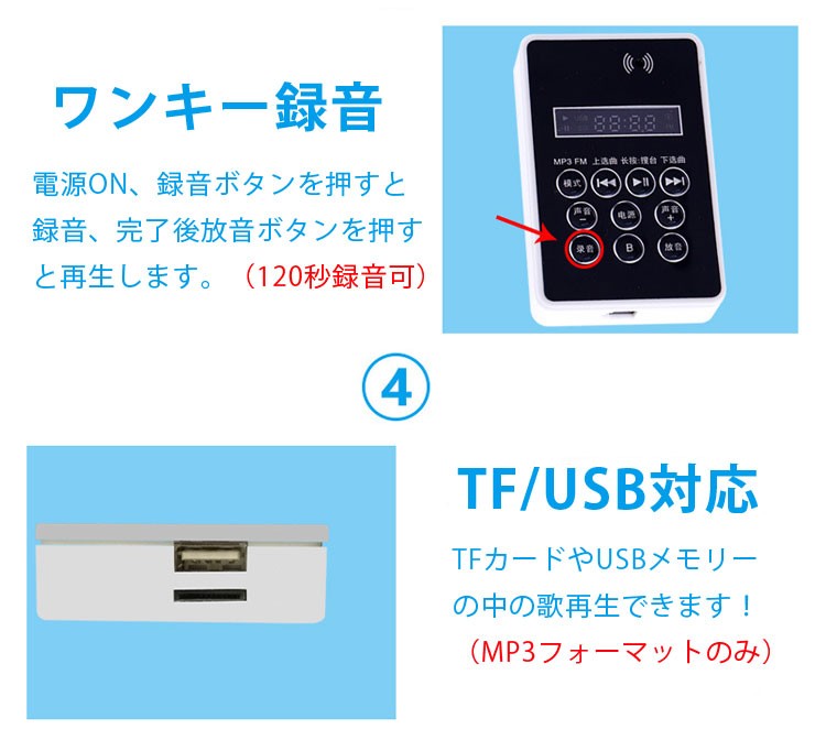 車載拡声器 液晶搭載 防水 耐久性 スピーカー＆アンプセット 12-60V汎用 マイク内蔵 録音/再生 microSDカード USB対応 CA165AM /レッド限定－日本代購代Bid第一推介「Funbid」