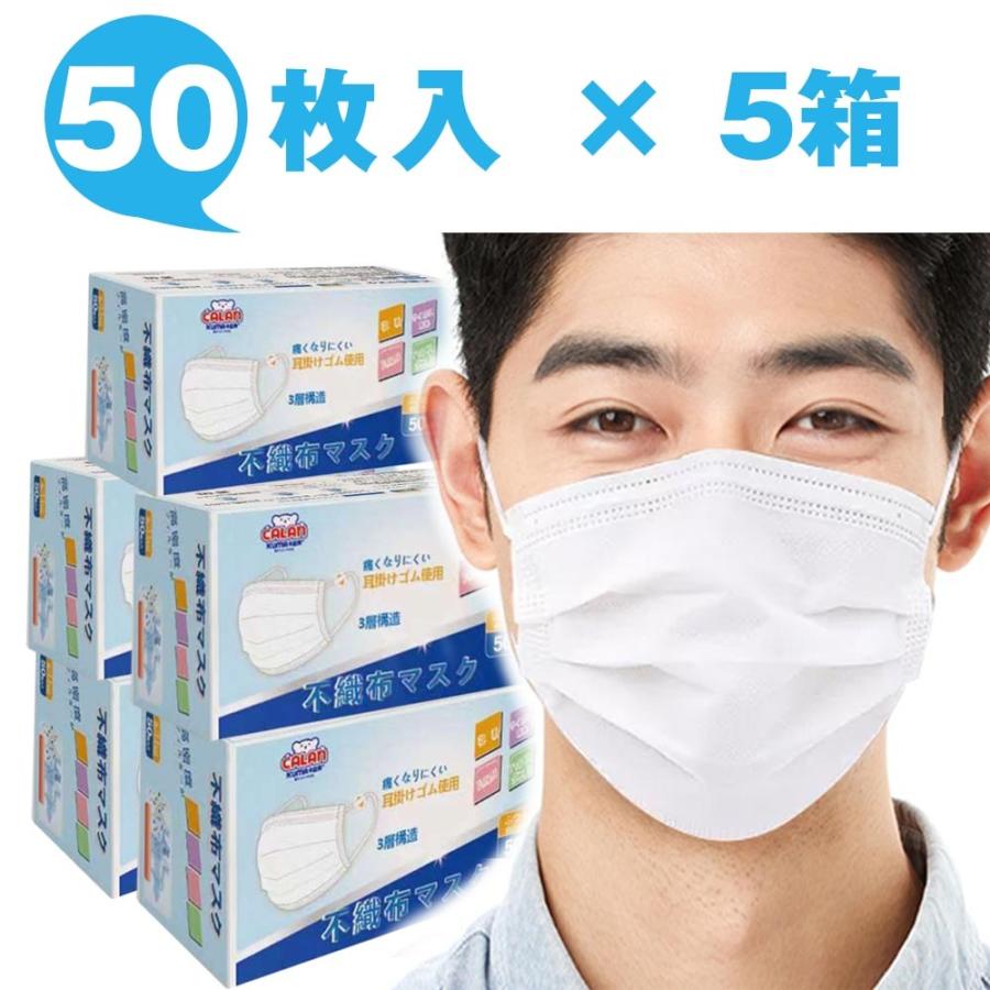 CALANKUMA 不織布 マスク 50枚入×5箱 通気性 超快適 3層構造 PM2.5