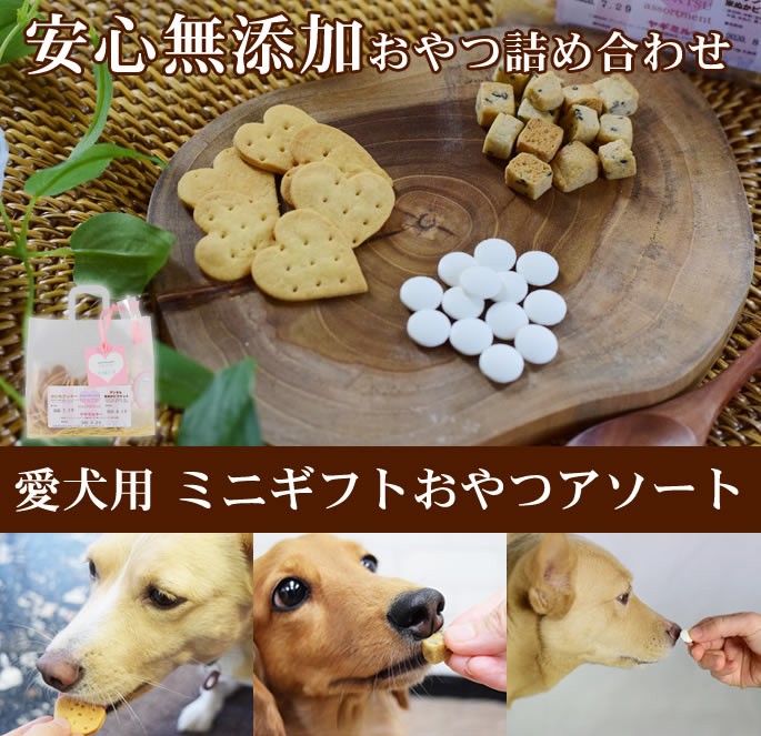 犬用おやつセット 無添加 安心 ミニギフトおやつアソート : 安心おやつ