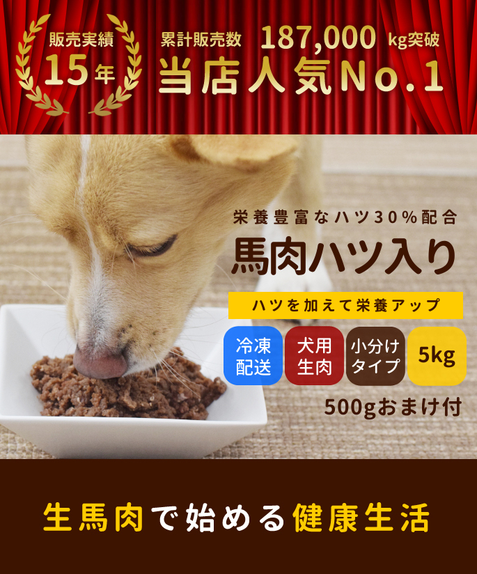 犬用 馬肉 冷凍 馬肉ハツ入りミンチ小分けトレー 5kg 500g