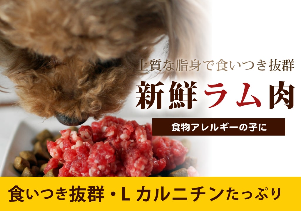 犬 生肉 新鮮 ラム肉 10kg+1kg 粗挽きミンチ 小分けパック