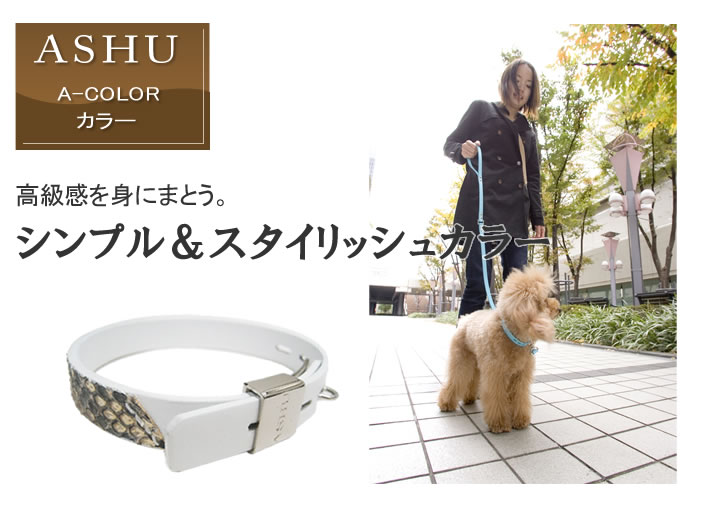 A-COLORシリーズ