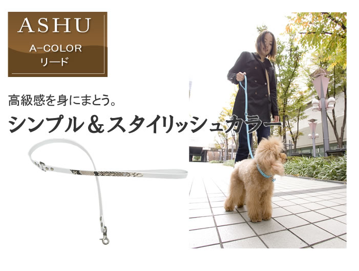 A-COLORシリーズ