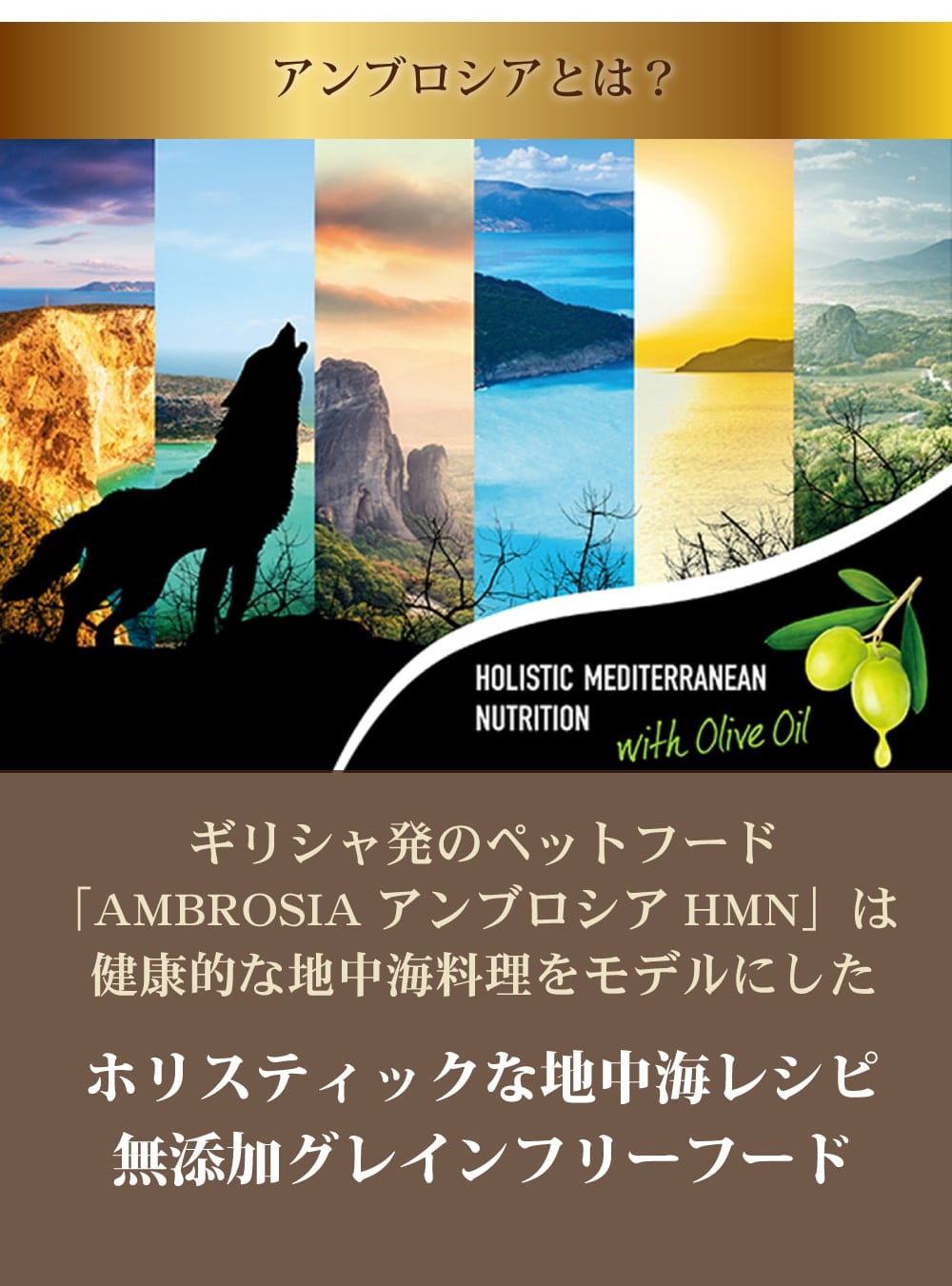 AMBROSIA（アンブロシア） HMNサーディン＆ヘリング 12kg 愛犬用