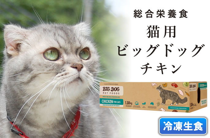 猫用ビッグドッグ チキン