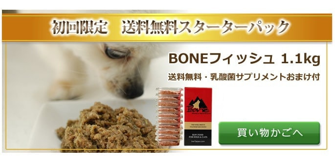 市場 ボーン 無添加 110g×10パック=1.1kg 生食 BONE ソフトタイプ 生肉 国産 フィッシュ Bone 発酵野菜 Ｂｏｎｅ 鮭 酵素 ドッグフード  犬 冷凍 ＢＯＮＥ bone