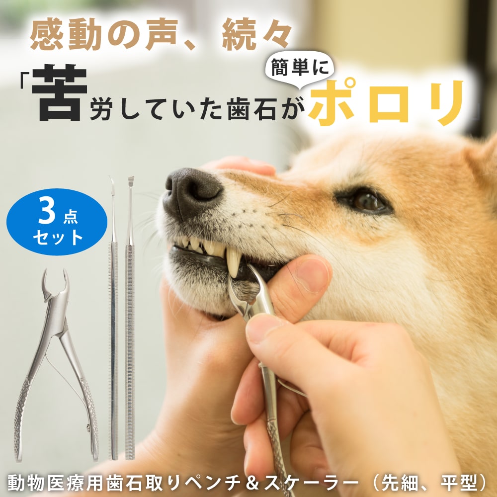 愛犬・愛猫用歯石取りペンチとスケーラーセット : dent-0006-6 : 犬手作りごはん帝塚山ハウンドカム - 通販 - Yahoo!ショッピング