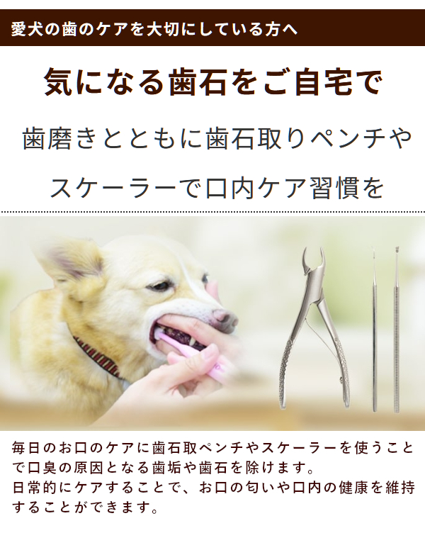 愛犬・愛猫用ペンチ ペット用 : dent-0018- : 犬手作りごはん帝塚山ハウンドカム - 通販 - Yahoo!ショッピング