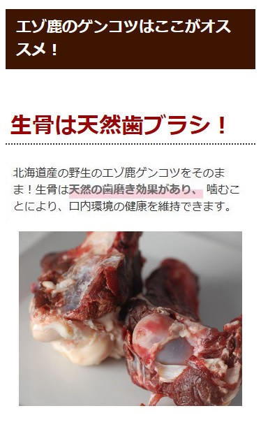 犬 骨 エゾ鹿肉 ゲン骨 1本 :TGE-090854:犬手作りごはん帝塚山ハウンドカム - 通販 - Yahoo!ショッピング