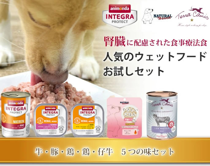  （400g×12）送料無料 犬 腎臓病 ドックフード フード 腎臓フード アニモンダ ニーレン 鶏 豚 缶詰 腎臓食 療法食 ウェットフード 腎臓犬 腎臓ケア 鳥 プロテクト ケア サポート ウェット チキン ポーク  