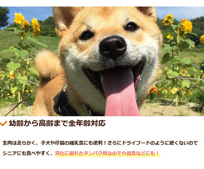生肉の与え方と保存方法