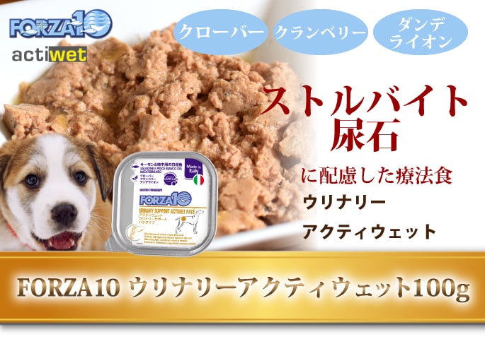 FORZA10（フォルツァディエチ） FORZA10療法食｜犬用 アクティウェット