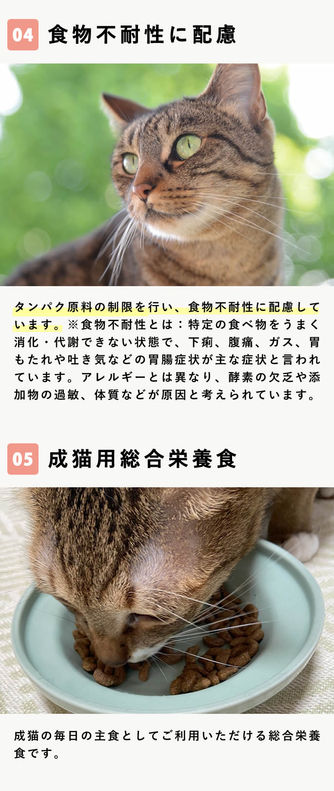 猫アダルト10キロ FORZA10（フォルツァディエチ） 猫 FORZA10｜Daily Pro デイリープロ