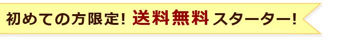 初回限定送料無料