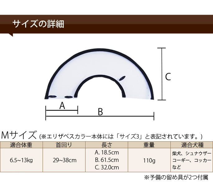 エリザベスカラー