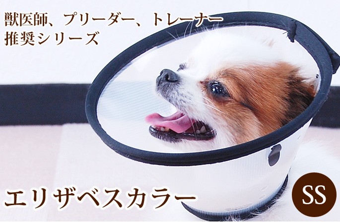 エリザベスカラー