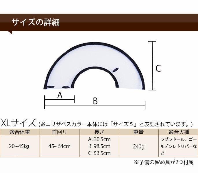 エリザベスカラー