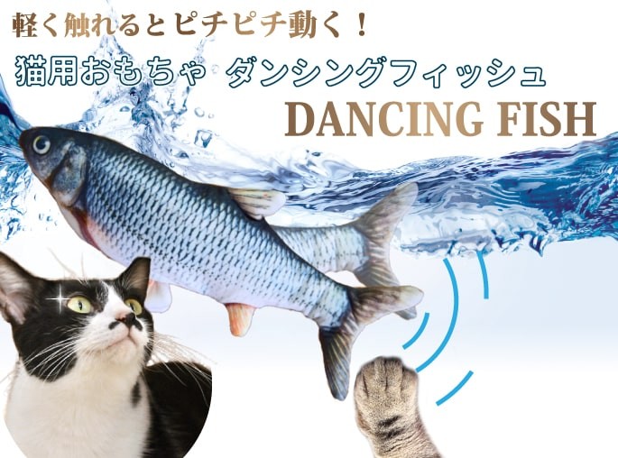 ダンシングフィッシュ