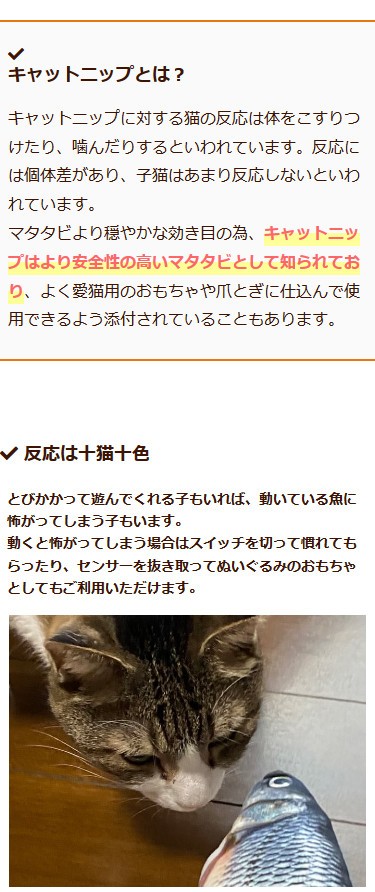 キャットニップ 西洋マタタビ