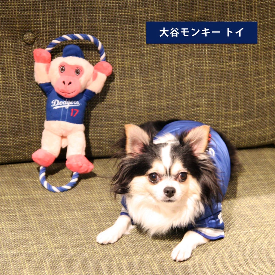 MLB公式 ロサンゼルス ドジャース 大谷翔平選手モデル 犬用 ぬいぐるみ