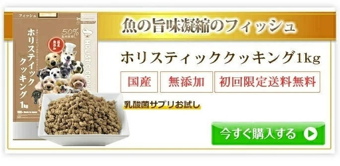 安心おやつ歯みがき帝塚山ハウンドカム - ホリスティッククッキング