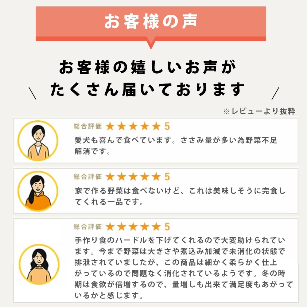 レビュー