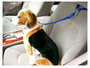 愛犬を守る乗車用ベルト