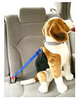 愛犬を守る乗車用ベルト