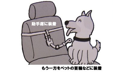 愛犬を守る乗車用ベルト