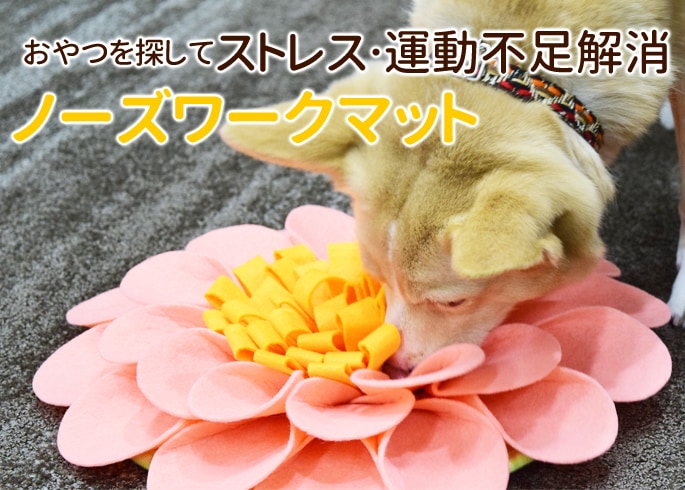 犬用おもちゃ ノーズワークマット : 安心おやつ歯みがき帝塚山ハウンド