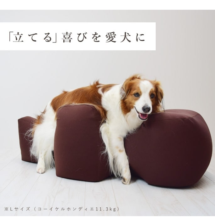 純正購入リラクッション/L ブラウン【立位保定・介護ベッド】 犬服・アクセサリー