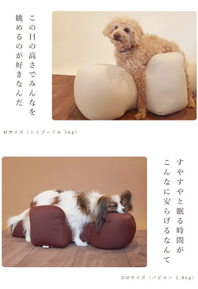 愛犬用ベッド】 リラクッション M ブラウン【立位保定・介護ベッド