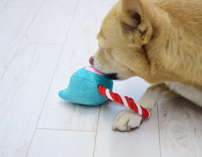 犬用おもちゃ プラッシュトイ ウィズロープ リング : 安心おやつ