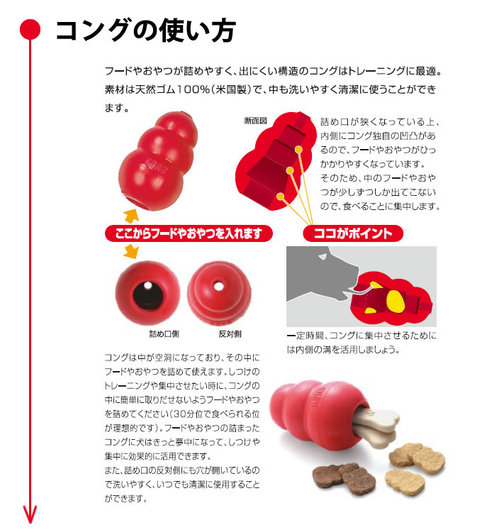 Tetra（テトラ） 知育トイ コング L 中・大型犬用 犬用おもちゃ : 安心