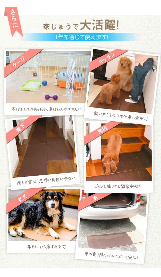 大型犬用 マルチマット ムニュ 特殊関節保護商品 滑りにくいマット