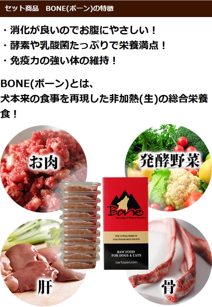 BONE(ボーン)の特徴 