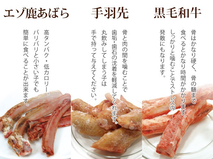 生骨マスター3点セット