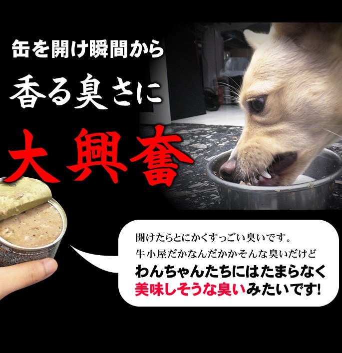 犬用　缶詰　PURE グリーントライプ 185g　NUTRIPE(ニュートライプ)