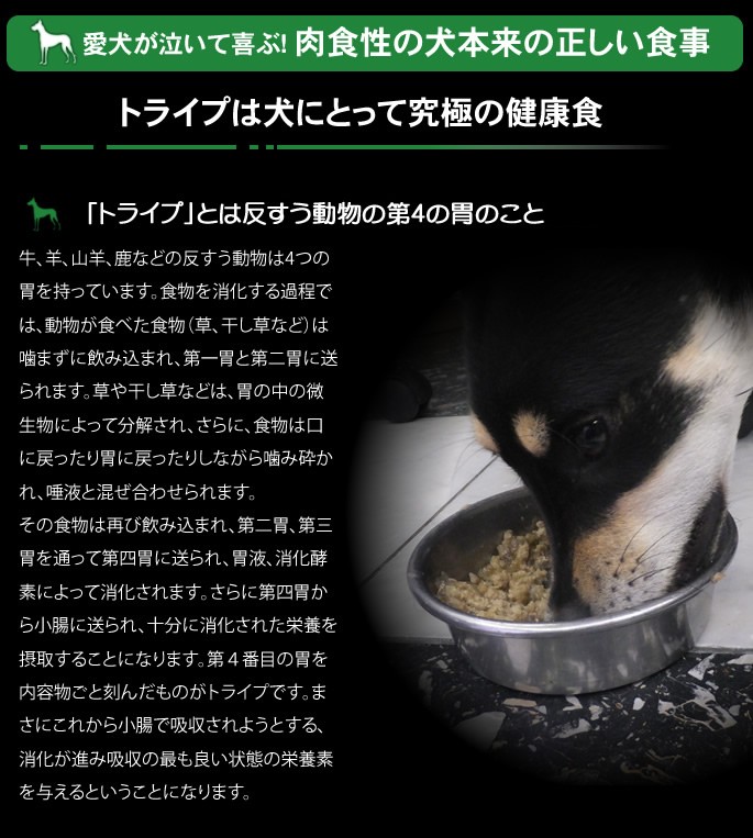 犬用　缶詰　PURE グリーントライプ 185g　NUTRIPE(ニュートライプ)