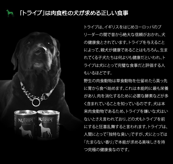 NUTRIPE（ニュートライプ） 犬用 缶詰 PURE グリーントライプ 185g