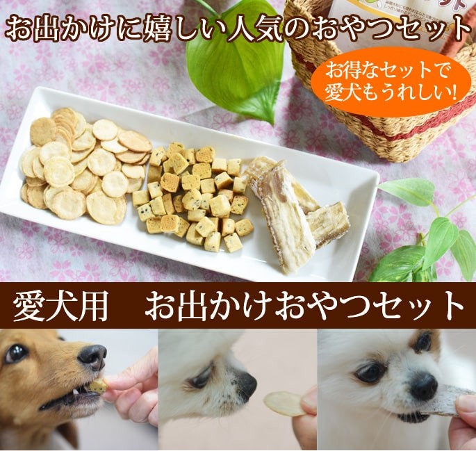 犬 おやつ お得 セット 散歩 愛犬用 お出かけおやつセット