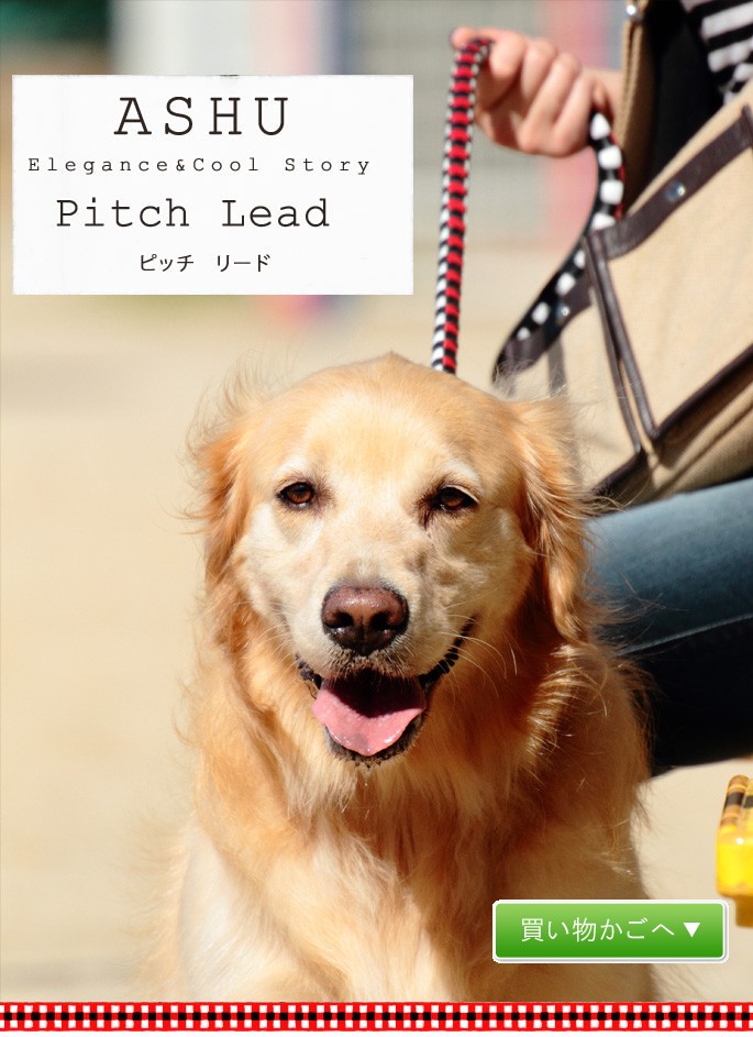 ASHU 犬 リード 革 レザー ASHU*ピッチ リード サイズ L 中型犬〜大型