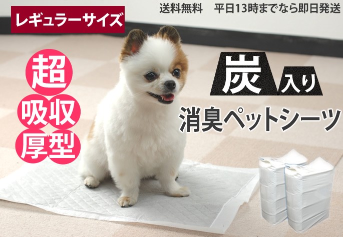 ペットシーツ 超吸収厚型 炭入り 消臭ペットシーツ レギュラー 80枚 お