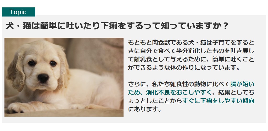 お腹の健康維持特集 犬手作りごはん帝塚山ハウンドカム 通販 Yahoo ショッピング